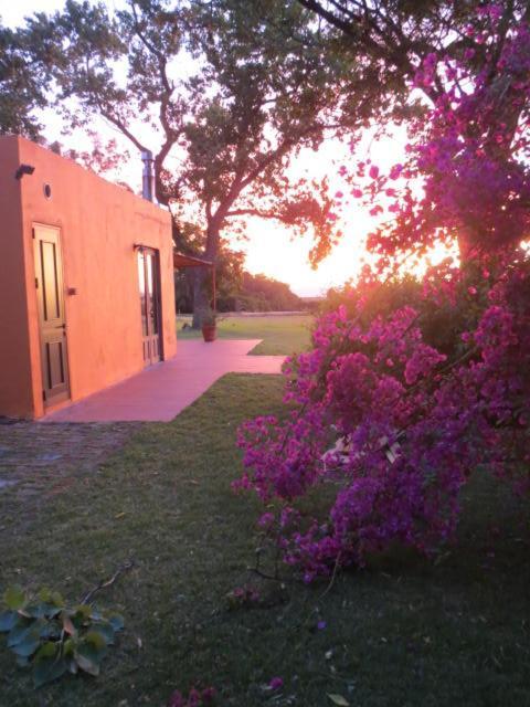 La Casona De San Pedro Villa Colonia del Sacramento Ngoại thất bức ảnh